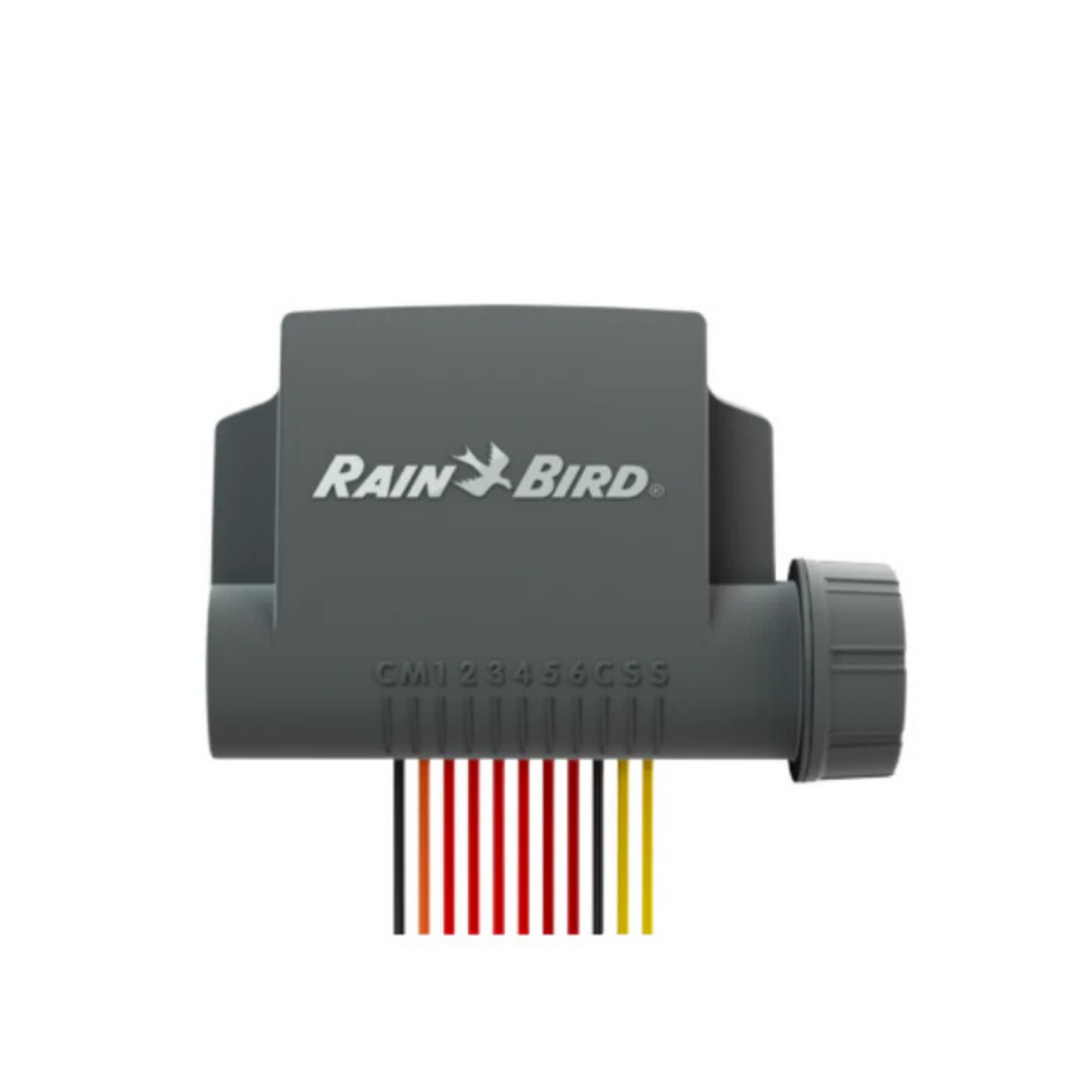 A Rain Bird electronic rain sensor device in dark gray, featuring the Rain Bird logo on the front and a multi-colored connector wire assembly below, isolated on a white background.
